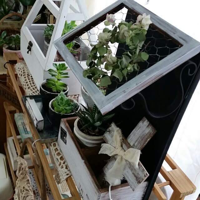 hitomiさんの実例写真