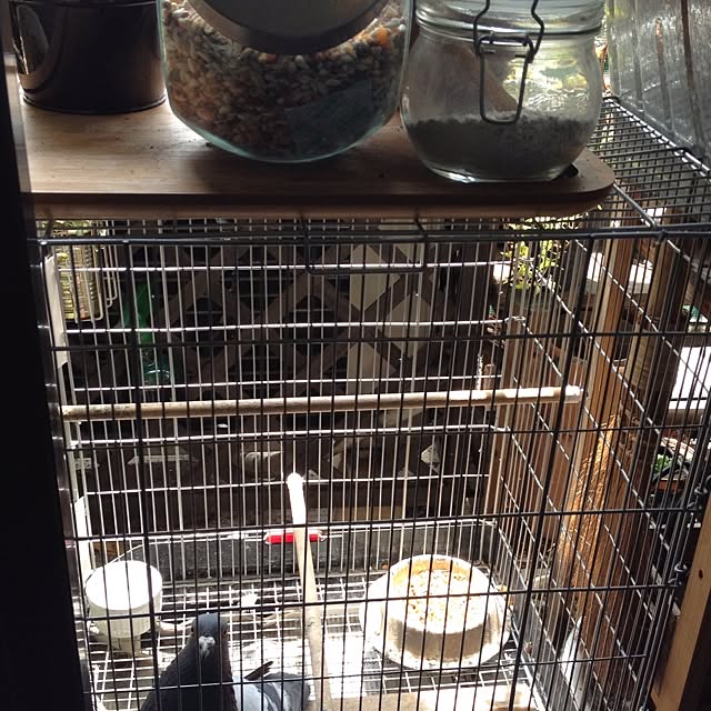 greさんの実例写真