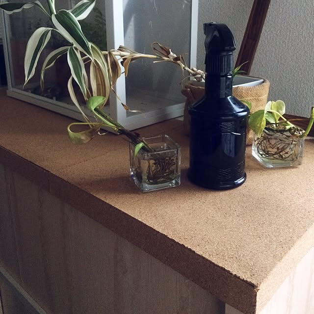 Onettoさんの実例写真