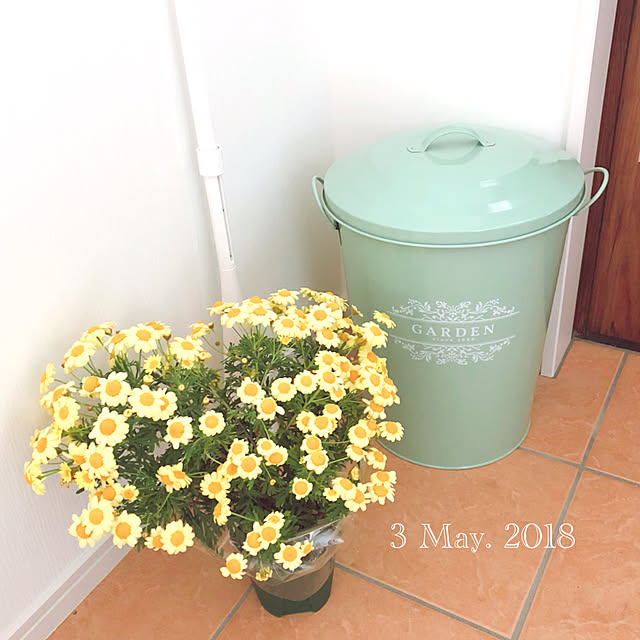kinaさんの実例写真