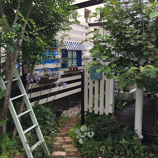 cherryさんの実例写真