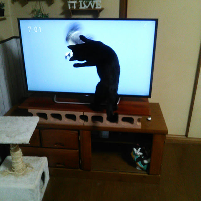 Tomopさんの実例写真