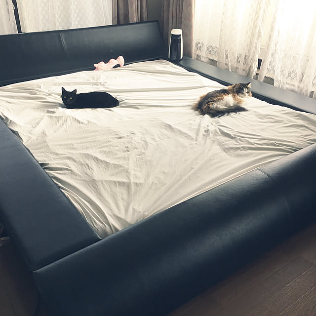 uraraさんの実例写真