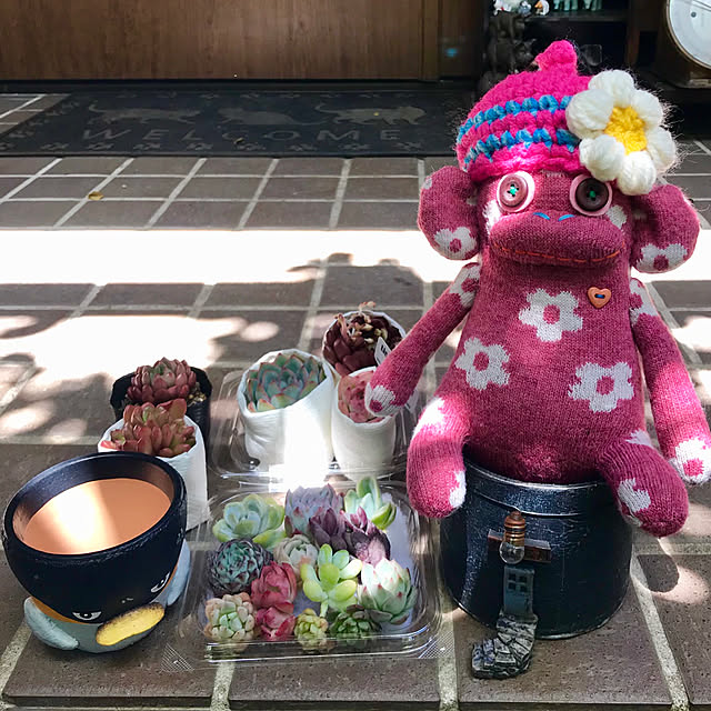 butachanさんの実例写真