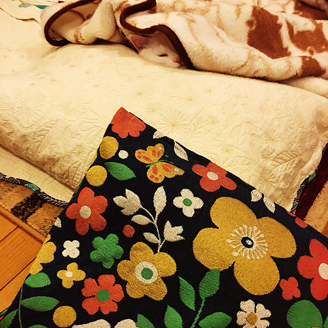 tekokaasanさんの実例写真