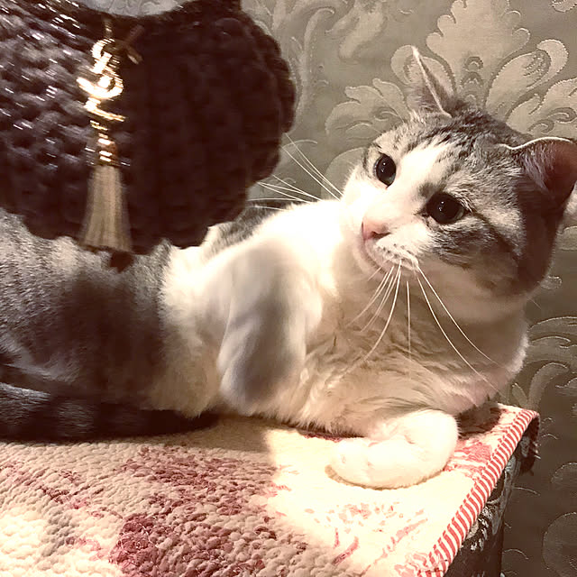 emmyyさんの実例写真