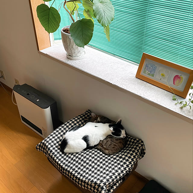 nobikoさんの実例写真