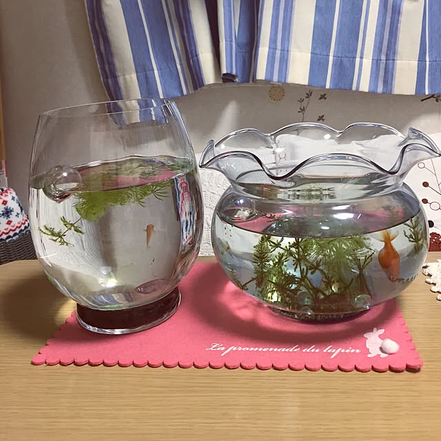 takakoさんの実例写真