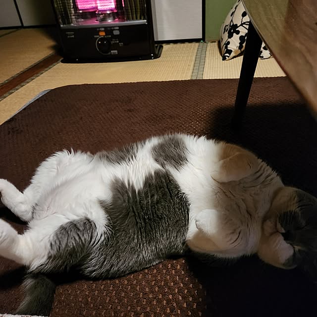 rhuさんの実例写真