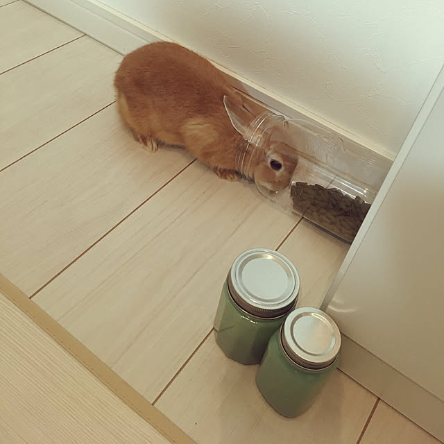 Tomomoさんの実例写真