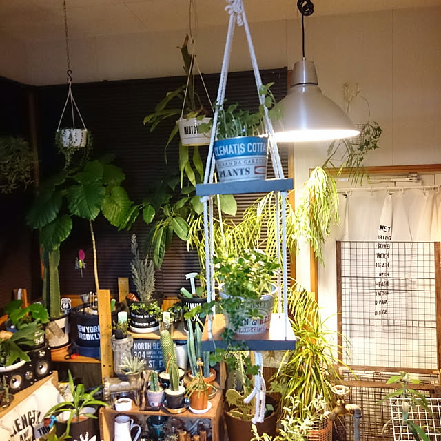 tikuwaさんの実例写真