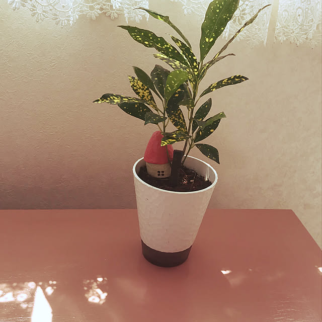 cielさんの実例写真