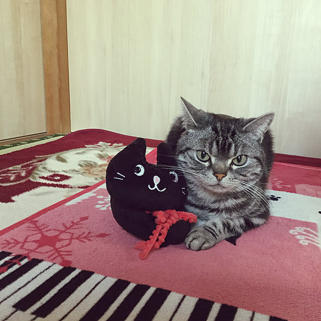 richanさんの実例写真