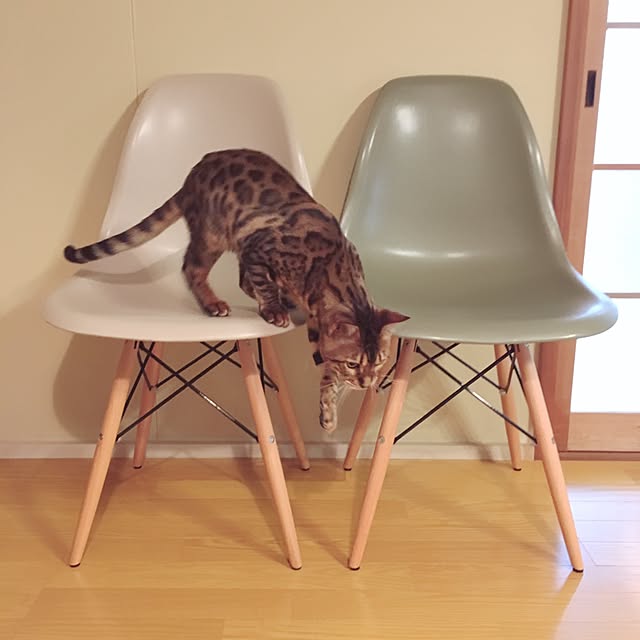 anさんの実例写真