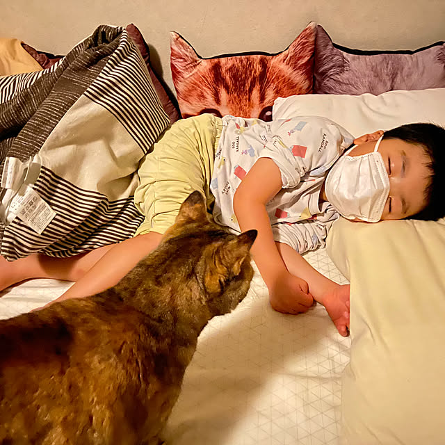 hansho.sさんの実例写真