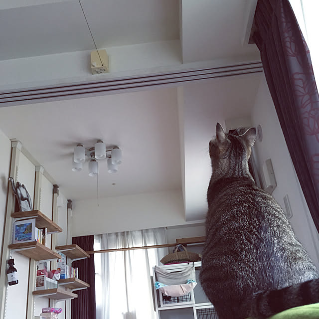 mikomaruさんの部屋