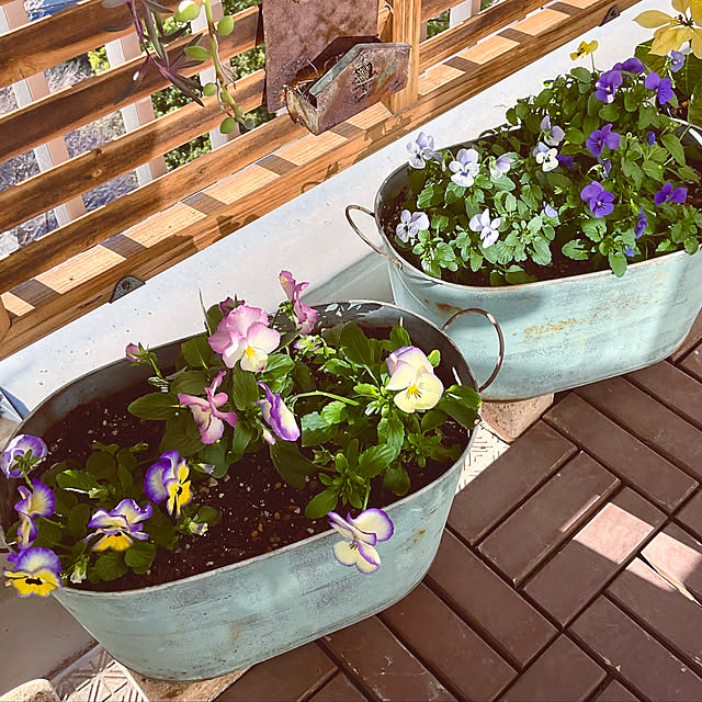 2.11maririnさんの部屋