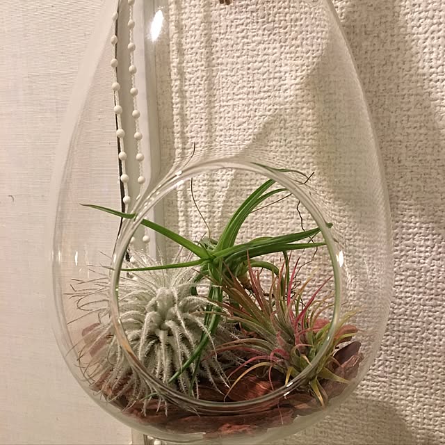 Ladinさんの実例写真