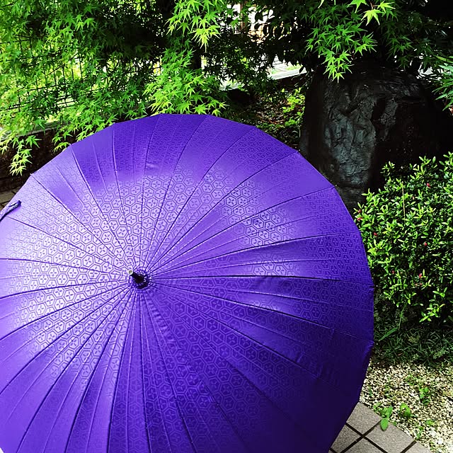 kinakomotiさんの実例写真