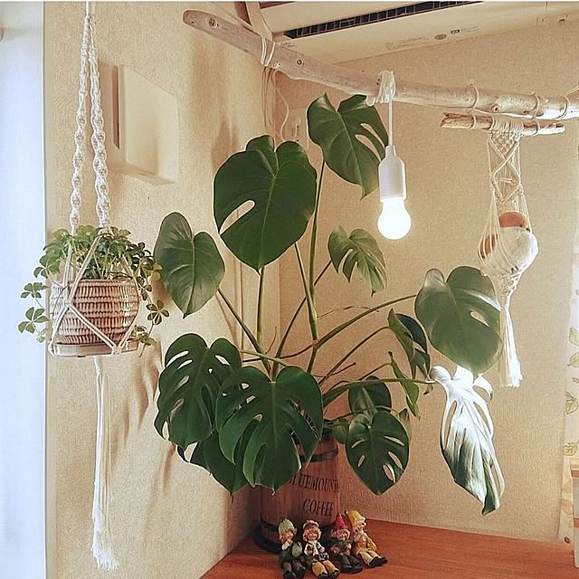 KOMARIN358さんの実例写真