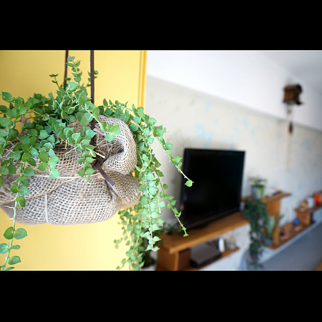 GardenGalleryさんの実例写真