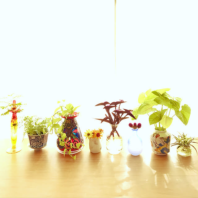 fuyiqian1026さんの実例写真