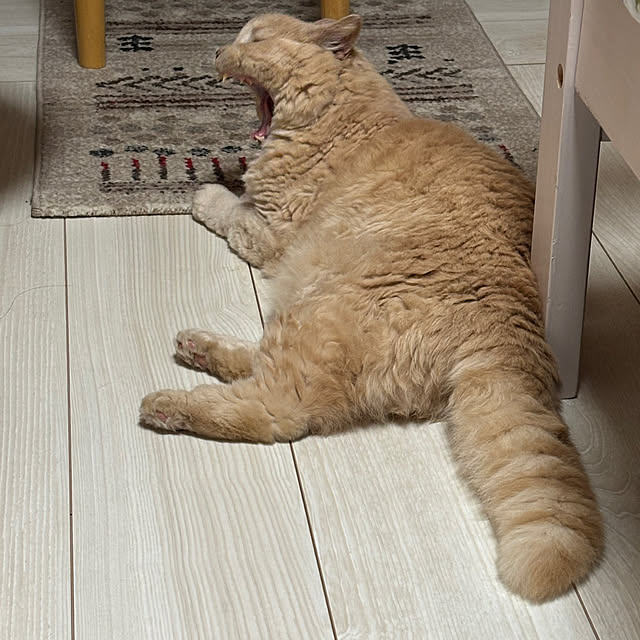 naokoさんの部屋