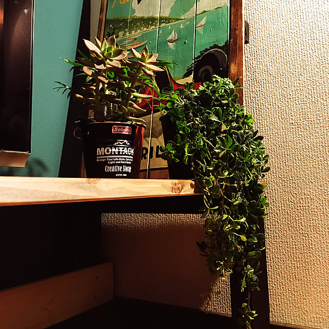 shinnosukeさんの実例写真