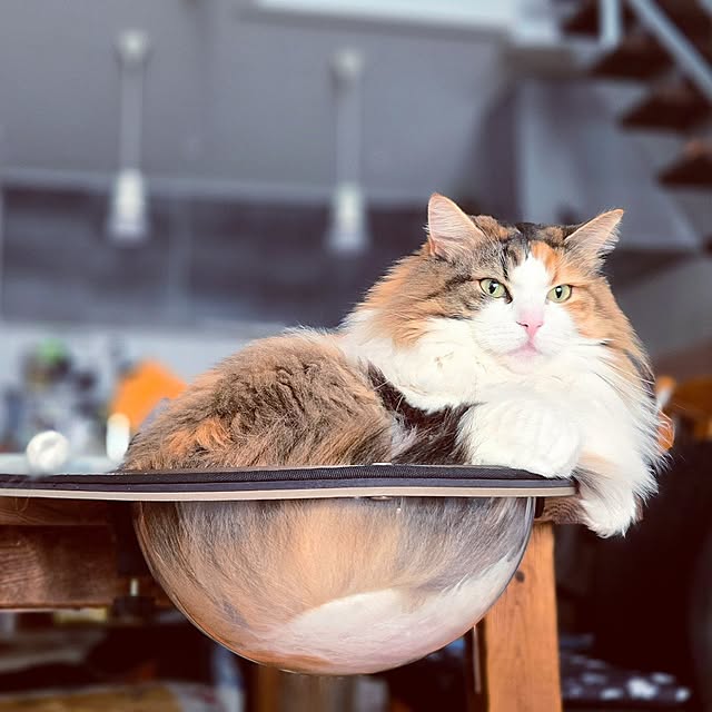 akiko6193さんの実例写真