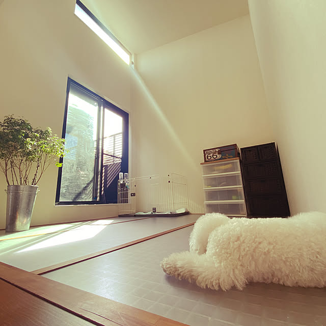 部屋全体のインテリア実例 - 2021-04-02 21:18:45