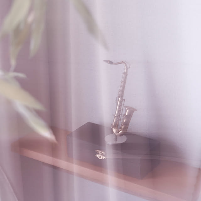 raccoonさんの実例写真