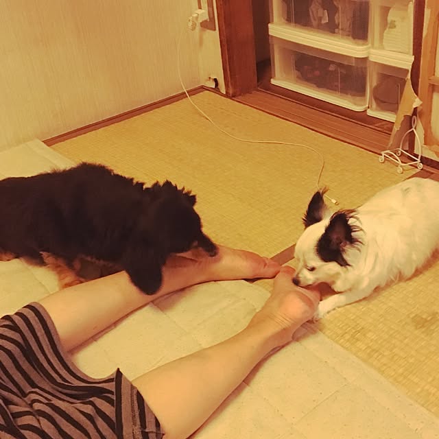 ohanaさんの実例写真