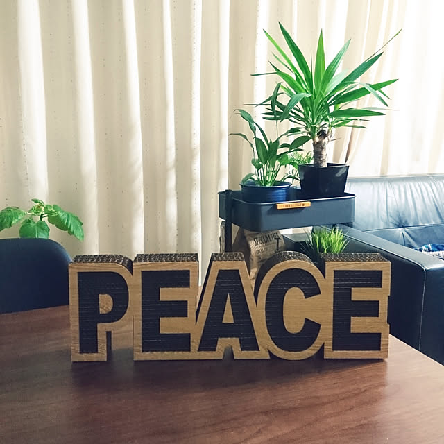 lovepeaceさんの実例写真