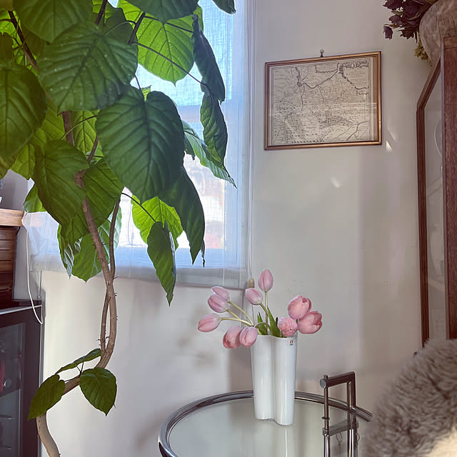 akiさんの実例写真