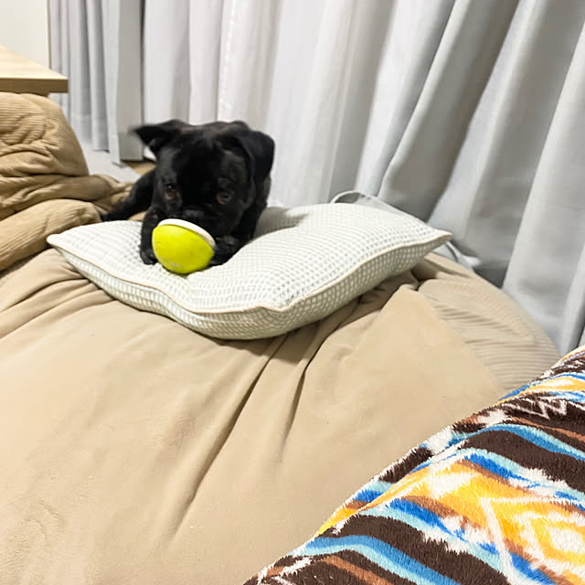 smileさんの実例写真