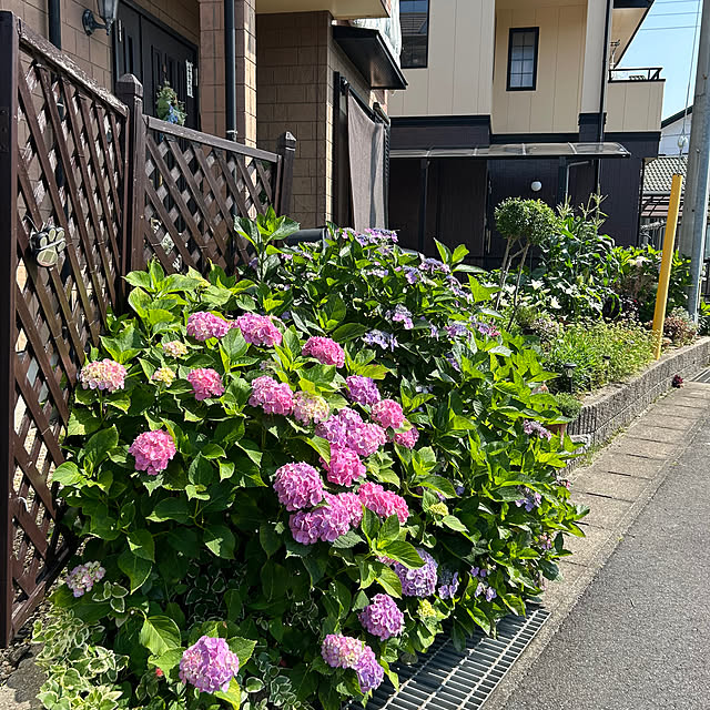 ritsukoさんの実例写真