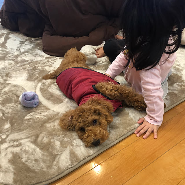 nanachanmamaさんの実例写真