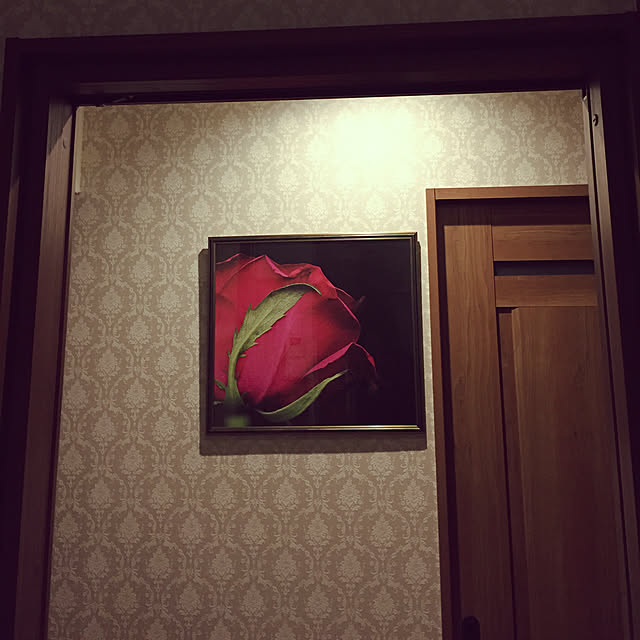 nonさんの実例写真