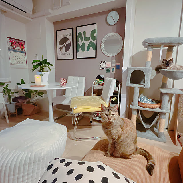 cocoさんの実例写真