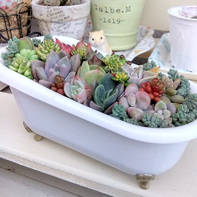 azuさんの実例写真