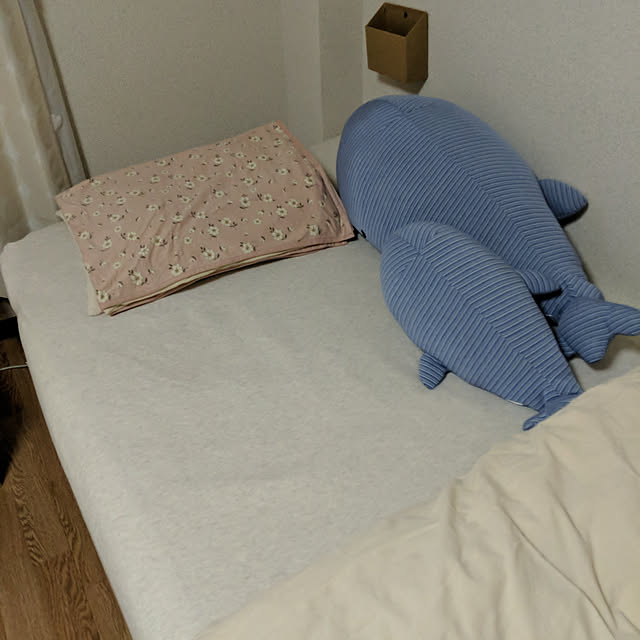 humさんの実例写真