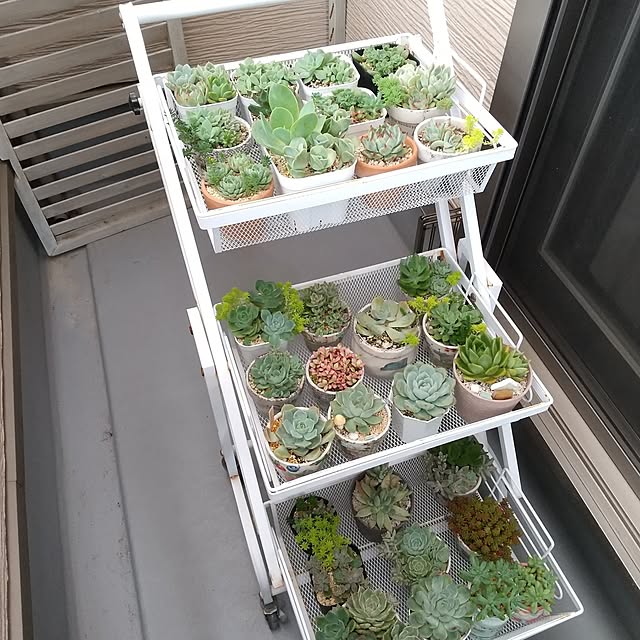meiさんの部屋