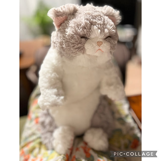 GowBooさんの実例写真