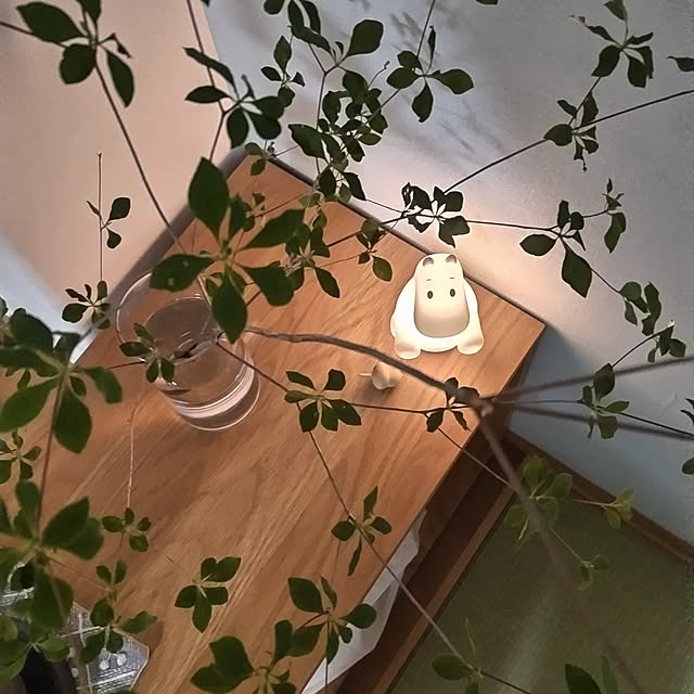 sakiさんの実例写真