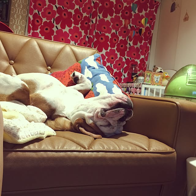 ayucchiさんの実例写真