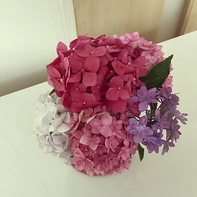 richanさんの部屋