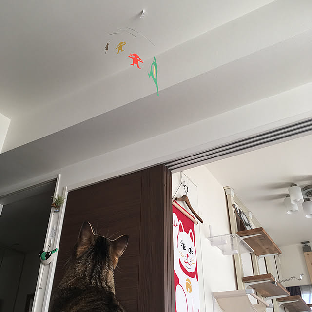 mikomaruさんの実例写真
