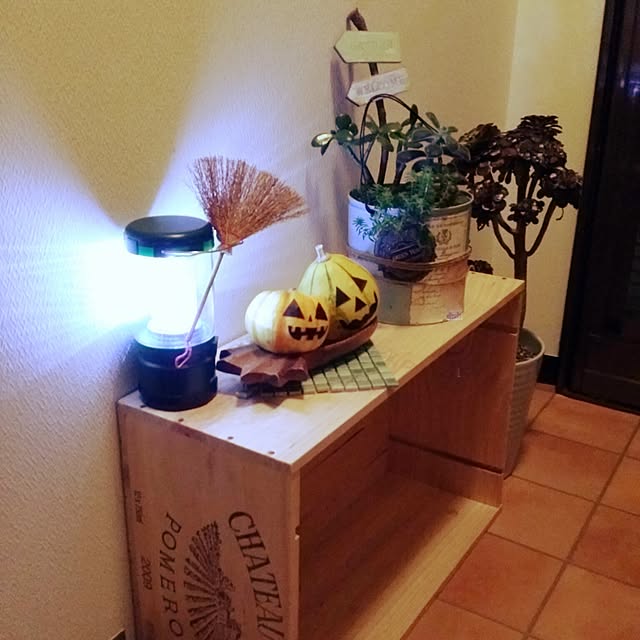 実例写真