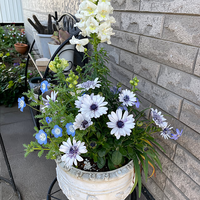 sa.yさんの実例写真