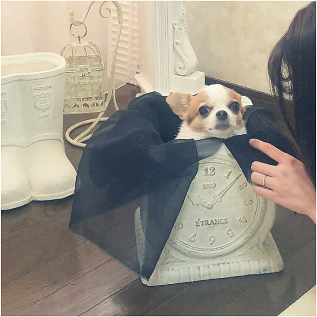 cocoさんの部屋